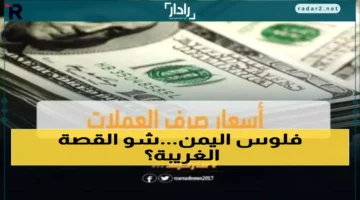 الريال اليمني بين عدن وصنعاء يُسجّل فجوة 305% في قيمته